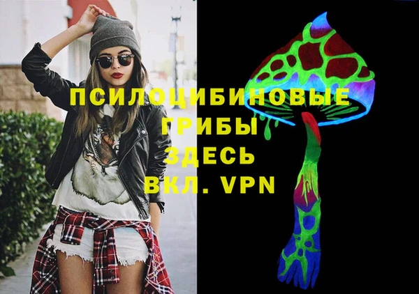 дурь Алзамай
